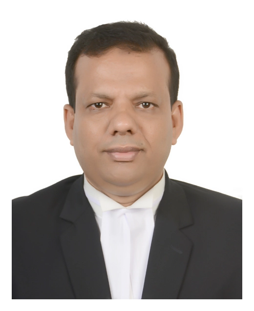 Image hover effect image